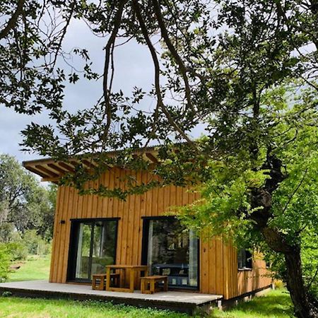 Kingfisher De Los Andes Villa Meliquina Exterior photo